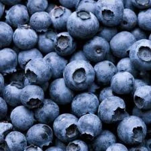 Craftastik Blaubeere Duftöl für Kerzen- und Seifenherstellung (25 ml) von craftastik