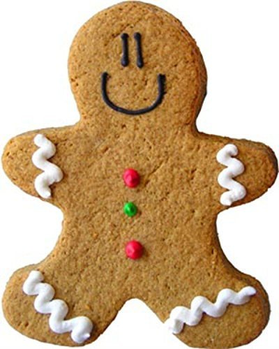 Lebkuchen-Duftöl für Kerzen- und Seifenherstellung (25 ml) von craftastik