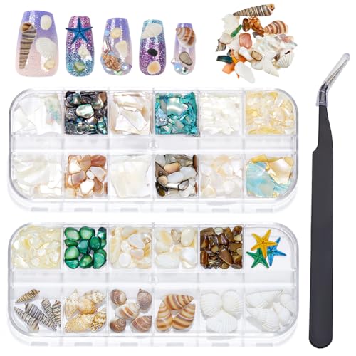 craspire 2 Schachtel Natürliche Ozean Nagelkunst Strasssteine Charms Zubehör Set 3D Sommerstrand Muschel Seestern Pinzette Abalone Nagelflocken Nieten Edelsteine Unregelmäßige Scheiben Stein craspire 2 Schachtel Natürliche Ozean Nagelkunst Strasssteine Charms Zubehör Set 3D Sommerstrand Muschel Seestern Pinzette Abalone Nagelflocken Nieten Edelsteine Unregelmäßige Scheiben Stein von craspire