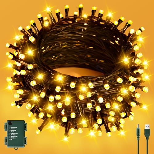 cshare Lichterkette Außen Batterie/USB, 6M 60er LED Weihnachten Lichterketten Grünes Kabel mit Timer, Wasserdicht für Weihnachtsbaum Garten Innen Dekoration -Warmweiß von cshare