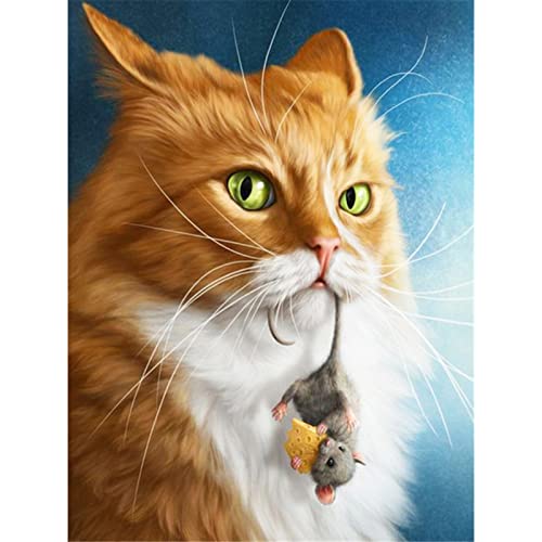 Cukol Kreuzstich Stickpackungen Vorgedruckt Set Erwachsene, Stickvorlagen Stickbilder Vorgedruckt Kreuzstich Stickpackung Sticken Stickbild Set für Erwachsene Anfänger Katze, Cross Stitch Kit Cukol Kreuzstich Stickpackungen Vorgedruckt Set Erwachsene, Stickvorlagen Stickbilder Vorgedruckt Kreuzstich Stickpackung Sticken Stickbild Set für Erwachsene Anfänger Katze, Cross Stitch Kit von cukol cukol