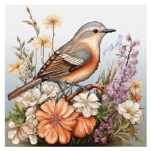 Cukol Vogel Kreuzstich Set Vorgedruckt, Tiere Stickvorlagen Stickbilder Vorgedruckt Kreuzstich Stickpackungen Stickpackung Cross Stitch Embroidery Kit Stickset Sticken Set Erwachsene Anfänger 40x40 cm von cukol cukol