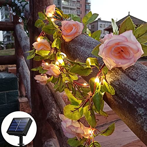 cuzile Solar Blume String Lichter, 5M 50LED Solar Fee Blume Lichter, Solar Blossom String Lichter für Innenhof, Garten, Baum, Zaun, Weihnachten, Party, Urlaub Dekorationen von cuzile