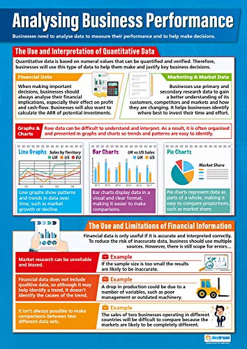 Daydream Education Lernposter „Analyse der Unternehmensleistung“, laminiertes Glanzpapier, 850 x 594 mm (A1), Lerntafeln für den BWL-Unterricht (evtl. nicht in deutscher Sprache) von daydream