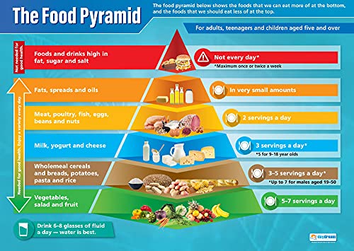 Daydream Education Lernposter „Food Pyramid“ (Lebensmittelpyramide), laminiertes Hochglanzpapier, 850 x 594 mm (A1), Wissenschaftsposter für Klassenzimmer, Lehrposter, englische Version von Daydream Education