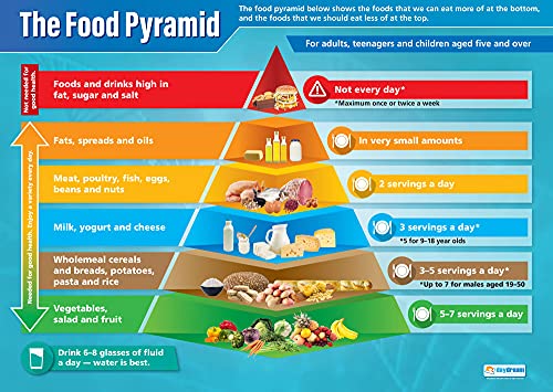 Daydream Education Lernposter „Food Pyramid“ (Lebensmittelpyramide), laminiertes Hochglanzpapier, 850 x 594 mm (A1), Wissenschaftsposter für Klassenzimmer, Lehrposter, englische Version von daydream