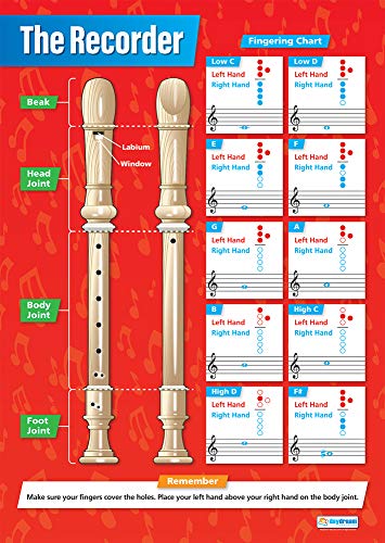 Daydream Education: Die Blockflöte, Musikposter, laminiertes Glanzpapier, 850 x 594 mm (A1), Musikposter für das Klassenzimmer, Bildungsposter (englische Version) von daydream