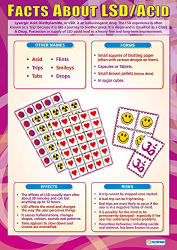 Daydream Education PSE-Poster, Hochglanzpapier, 850 mm x 594 mm (A1) von daydream