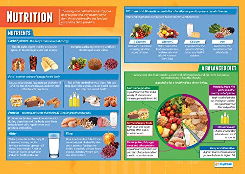 Daydream Education PSE-Poster „Nutrition“ (englische Version), glänzend, 850 mm x 594 mm (A1), PSE-Klassenzimmer-Poster, Bildungstabellen von daydream