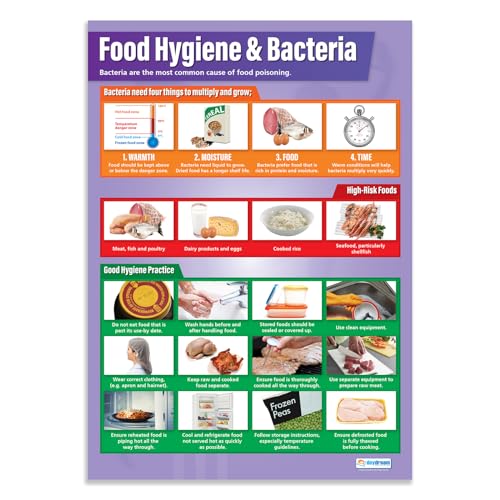 Daydream Education Poster für Lebensmittelhygiene und Bakterien, laminiertes Glanzpapier, 850 mm x 594 mm (A1) von daydream