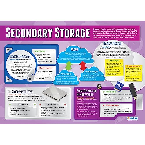 Daydream Education Secondary Storage, Informatik-Poster, Glanzpapier, 850 mm x 594 mm (A1), STEM-Poster für das Klassenzimmer, Bildungstabellen von daydream