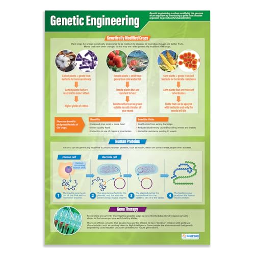 Wissenschaftsposter, Gentechnik, laminiertes Glanzpapier, 850 mm x 594 mm (A1), Wissenschaftsdiagramme für das Klassenzimmer, Bildungstabellen von Daydream Education von daydream