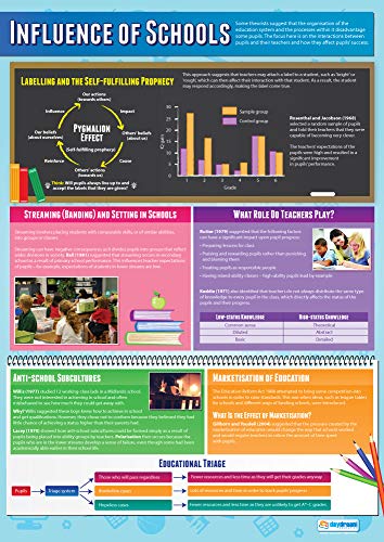 Poster "Influence of Schools", laminiertes Glanzpapier, 850 x 594 mm (A1), Lernposter (evtl. nicht in deutscher Sprache) Daydream Education von daydream