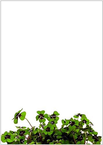 Briefpapier Geburtstag DIN A4 - Papier für Einladungen - 20 Blatt - Motiv Nr. 112 | 80g/m² von deLuxeTuning.de