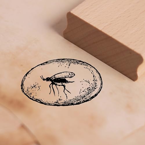 Motivstempel Bernstein mit Mücke - Stempel Holzstempel 48 x 28 mm Motivstempel Bernstein mit Mücke - Stempel Holzstempel 48 x 28 mm von dekolando