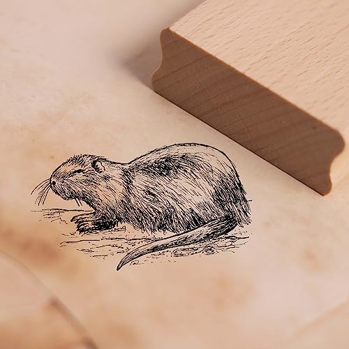 Motivstempel Nutria - Biberratte Stempel Holzstempel Tierstempel 48 x 28 mm Motivstempel Nutria - Biberratte Stempel Holzstempel Tierstempel 48 x 28 mm von dekolando
