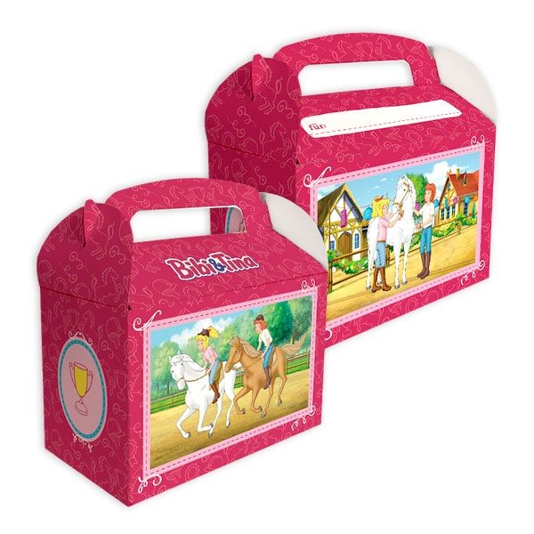 Bibi und Tina Geschenkboxen aus Pappe zum Zusammenstecken, 6 Stk von dh-konzept