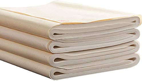 diandiandidi Xuan Reispapier Kalligraphie, Xuan Papier Weiß Chinapapier für Chinesiche und Japanische Tusche Malerei Sumi 100 Blatt (Shengxuan, 69 x 138 cm) von diandiandidi