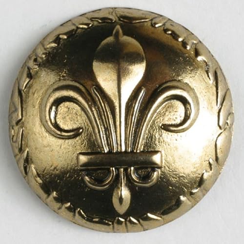 Dill runde Metallknöpfe, goldfarben, Vorteilspackung, 12 Stück von dill and mint