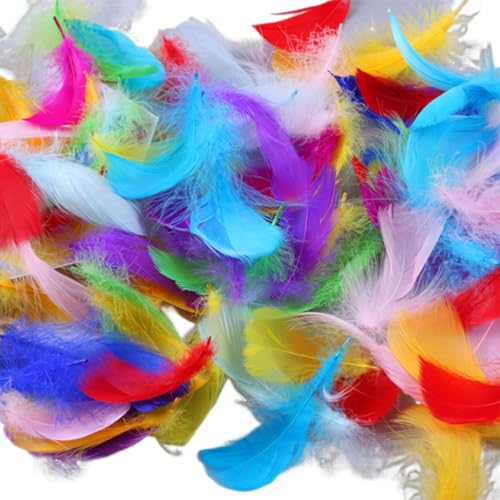 Dinghaole Bunte Bastelfedern für Kunst, Hüte und Kleidung, verschiedene Größen von hellen Federn für Dekoration, Partys, Hochzeiten, weich und hautfreundlich, 300 Stück von dinghaole
