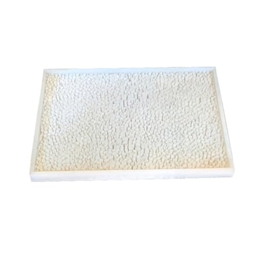 Silikonformen in Meeresfrüchteform für Epoxidharz, künstliche Meeresfrüchte, Küchendekoration Silikonformen in Meeresfrüchteform für Epoxidharz, künstliche Meeresfrüchte, Küchendekoration von divuukyi