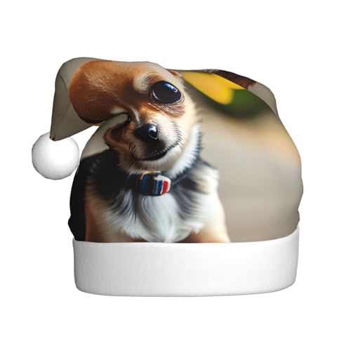 dkkuvt Weihnachtsmütze mit Chihuahua-Motiv, 53 - 60 cm, Weihnachtszubehör, Partyzubehör, Urlaub, Weihnachtsmannmütze dkkuvt Weihnachtsmütze mit Chihuahua-Motiv, 53 - 60 cm, Weihnachtszubehör, Partyzubehör, Urlaub, Weihnachtsmannmütze von dkkuvt