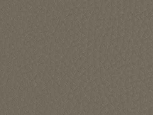 dogsfavorite Kunstleder kaschiert mit Schaumstoff Leder Meterware Polsterstoff Taupe von dogsfavorite