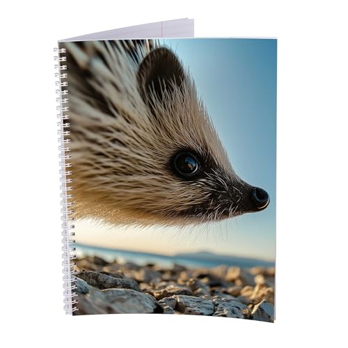druck.de Collegeblock – 5 Stück – DIN A4 – 80 Blatt – 80g Volumenpapier – gelocht – Spiralbindung weiß – Korrekturrand – perforiert – Spiral Notizblock (Igel, Kariert) von druck.de