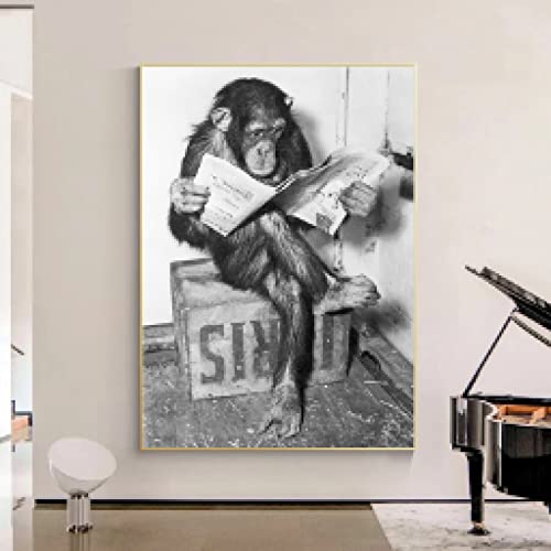 Schimpanse lesen Zeitung Kunst Leinwanddruck weiß und schwarz moderne Wandkunst Poster Bilder für Wohnzimmer Wohnkultur 40 x 60 cm rahmenlos von dsdsgog