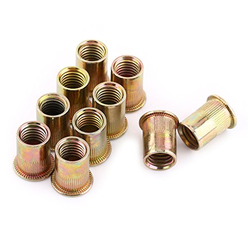 Möbelbeschläge, Hochleistungs-Nietmutter mit Flachgewinde M3-M12 aus Kohlenstoffstahl, Nietmutter-Montageflansch zur Befestigung – mehrteiliges Set(M12 (20 pcs/pack)) von dvegGEE