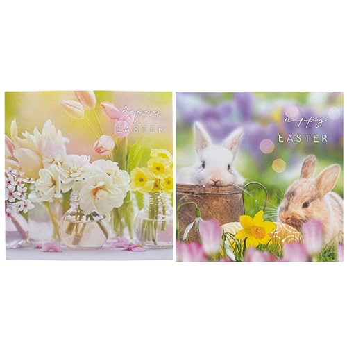 eBoutik - 10 Stück Oster-Grußkarten mit Umschlägen - Gemischte Designs mit Hasen und Blumen, 210 GSM Premium-Karton, quadratisches Format für warme Wünsche in diesem Frühling eBoutik - 10 Stück Oster-Grußkarten mit Umschlägen - Gemischte Designs mit Hasen und Blumen, 210 GSM Premium-Karton, quadratisches Format für warme Wünsche in diesem Frühling von eBoutik