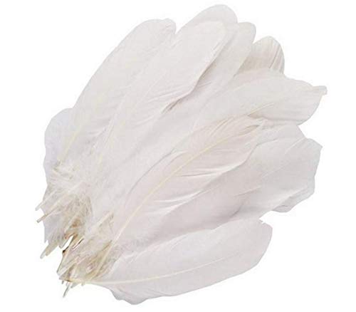 Weiße Federn für Zuhause, Hochzeit, Geburtstag, Weihnachten, Party, Dekoration, Gänsefedern, Bastelzubehör, große Feder, 15,2–22,9 cm, 100 Stück Weiße Federn für Zuhause, Hochzeit, Geburtstag, Weihnachten, Party, Dekoration, Gänsefedern, Bastelzubehör, große Feder, 15,2–22,9 cm, 100 Stück von ericotry