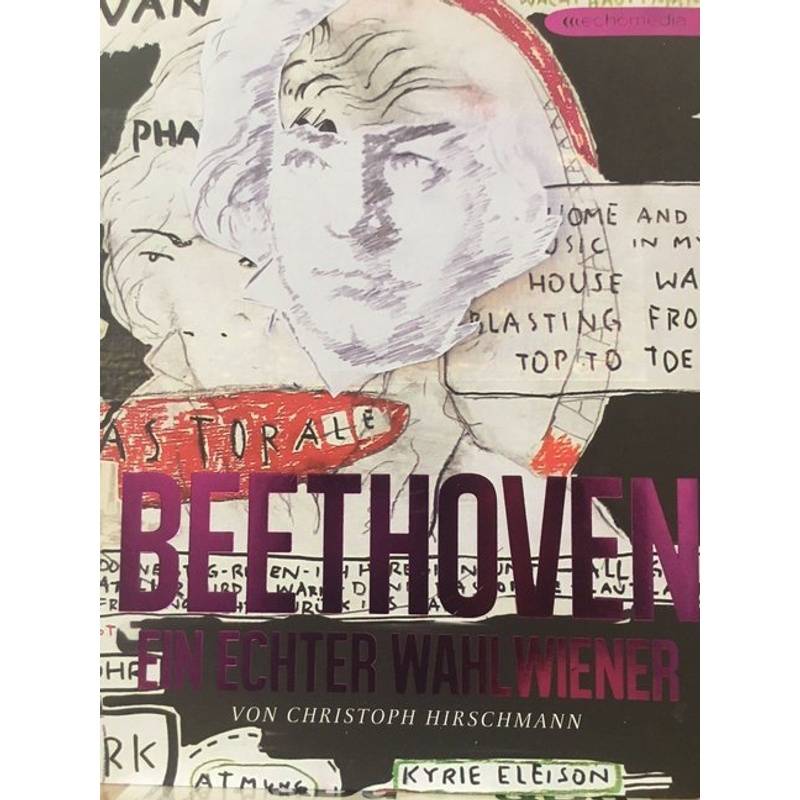 Beethoven - Christoph Hirschmann, Gebunden von Echo Medienhaus