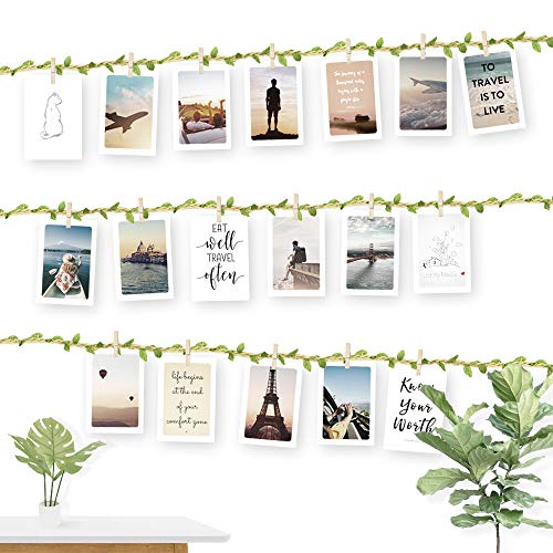 ecooe Fotoseil mit Grünes Blatt für Kreative und Schöne Dekoration DIY Bilderrahmen Wanddekoration 3 Meter Fotoleine mit 30 Mini-Holz-Klammern und 10 spurlosen Nägeln Fotoaufhängung ecooe Fotoseil mit Grünes Blatt für Kreative und Schöne Dekoration DIY Bilderrahmen Wanddekoration 3 Meter Fotoleine mit 30 Mini-Holz-Klammern und 10 spurlosen Nägeln Fotoaufhängung von ecooe