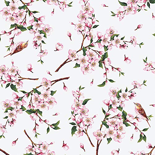 ecosoul Wachstuchtischdecke Kirschbaum (7,-€/Meter) Blumen Vögel rosa weiß Zweige bunt Wachstischdecke Schutzdecke glatt abwaschbar Meterware Breite:140cm Länge:100cm von ecosoul