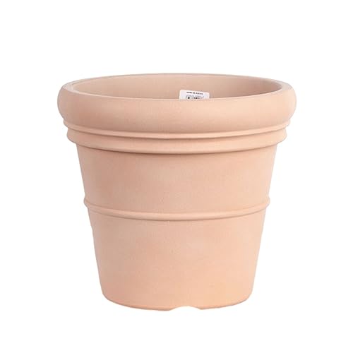 eexuujkl Pflanzgefäß – atmungsaktiver Terrakotta Blumentopf, Fester und langlebiger Gartendekor, Kunststoff Terrakotta Sukkulententopf, Blumentopf, Weiße Keramikfarbe, 22.8 * 15 * 20.6 cm 320 g eexuujkl Pflanzgefäß – atmungsaktiver Terrakotta Blumentopf, Fester und langlebiger Gartendekor, Kunststoff Terrakotta Sukkulententopf, Blumentopf, Weiße Keramikfarbe, 22.8 * 15 * 20.6 cm 320 g von eexuujkl