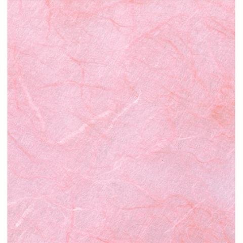 Efco - Strohseidenpapier 0,70 x 1,50 m rosa Verkaufseinheit = 1 Rolle von efco