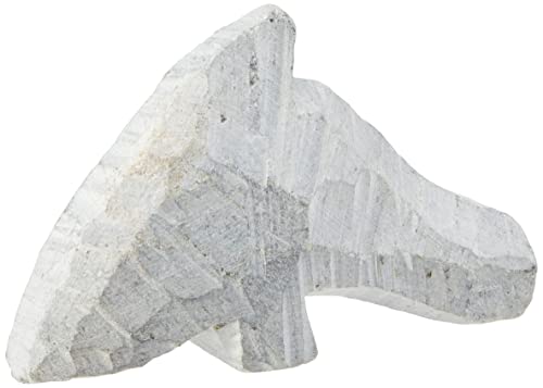 Efco Speckstein, Delfin, unlackiert, cremefarben Efco Speckstein, Delfin, unlackiert, cremefarben von efco