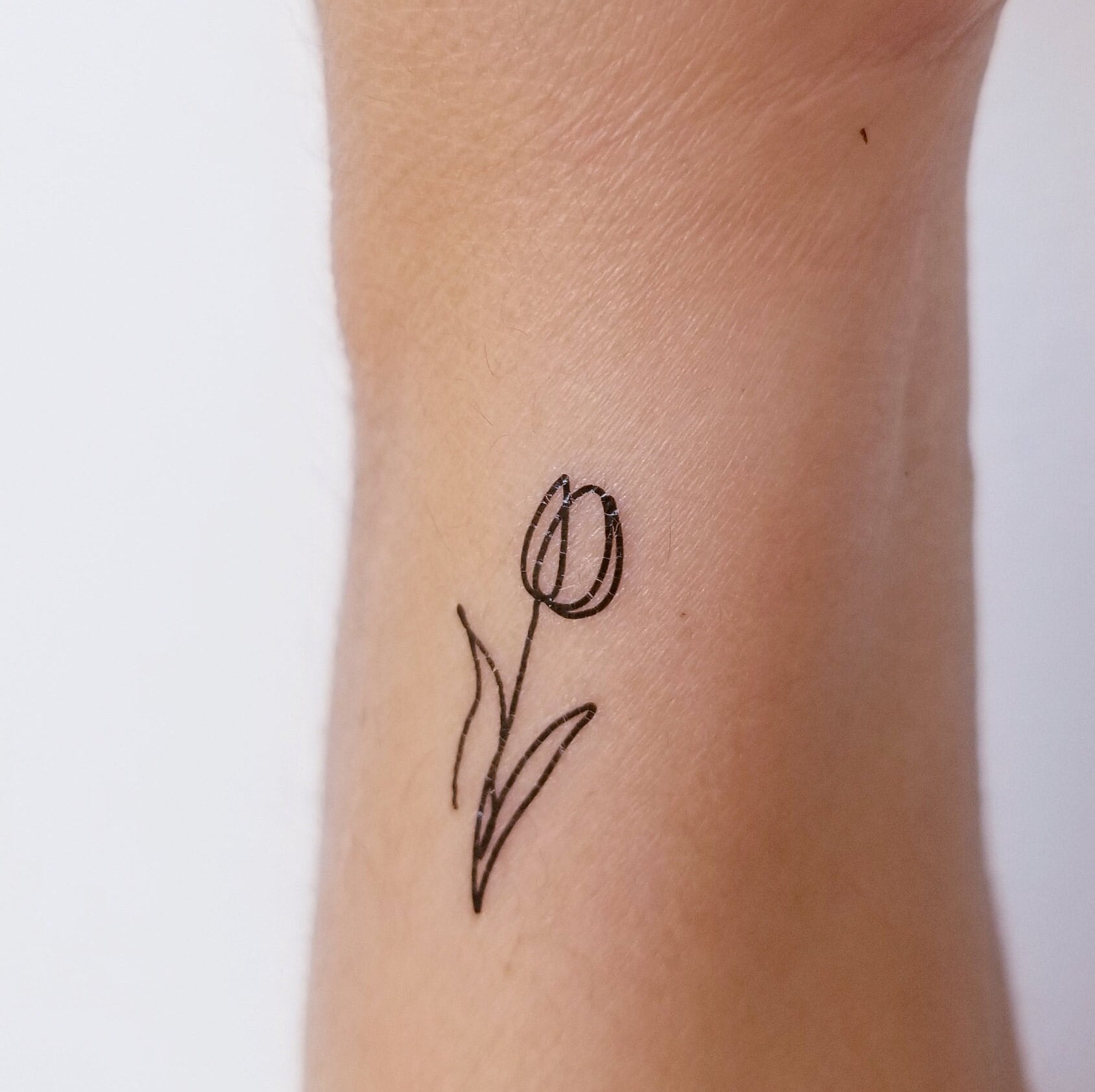 Temporäres Tulpen-Tattoo | 6Er-Set von encredelicate