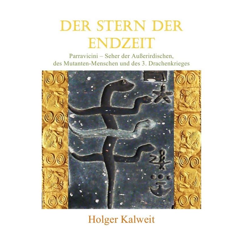 Der Stern Der Endzeit - Holger Kalweit, Kartoniert (TB) von epubli