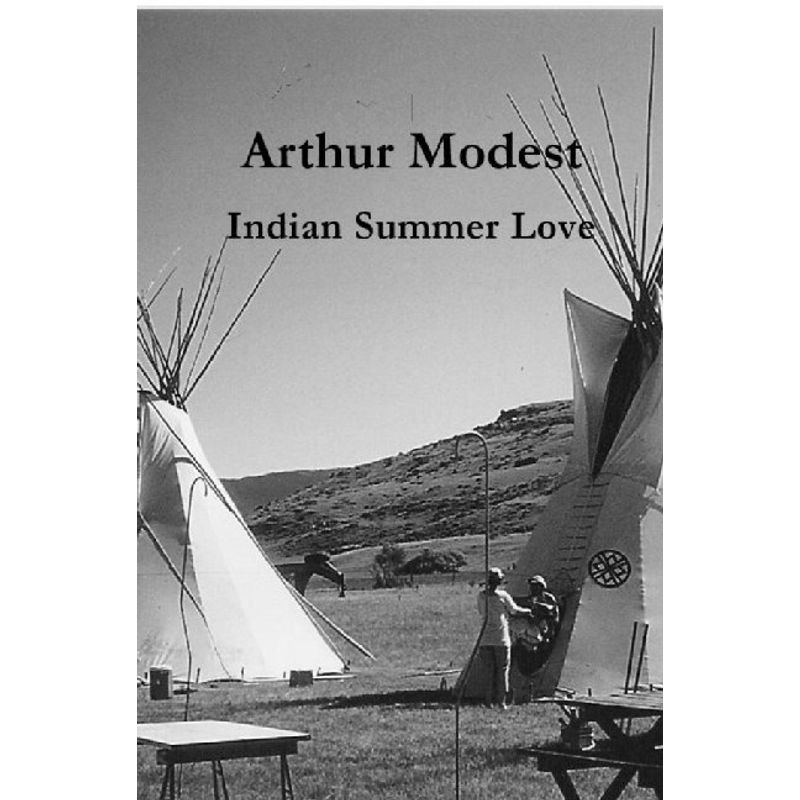 Indian Summer Love - Arthur Modest, Kartoniert (TB) von epubli