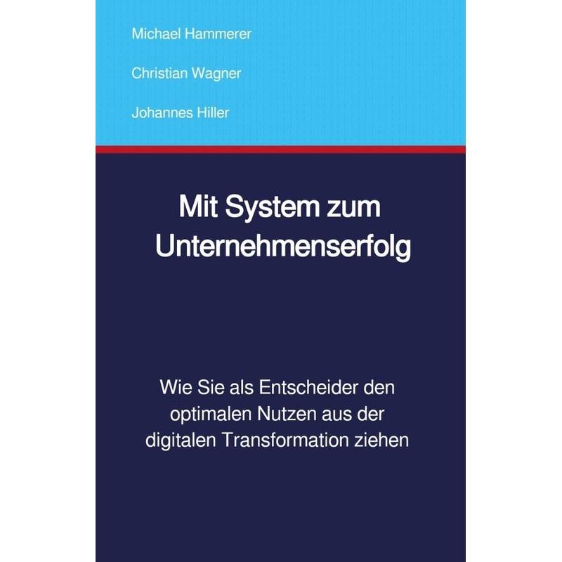 Mit System Zum Unternehmenserfolg - Michael Hammerer, Christian Wagner, Johannes Hiller, Kartoniert (TB) von epubli