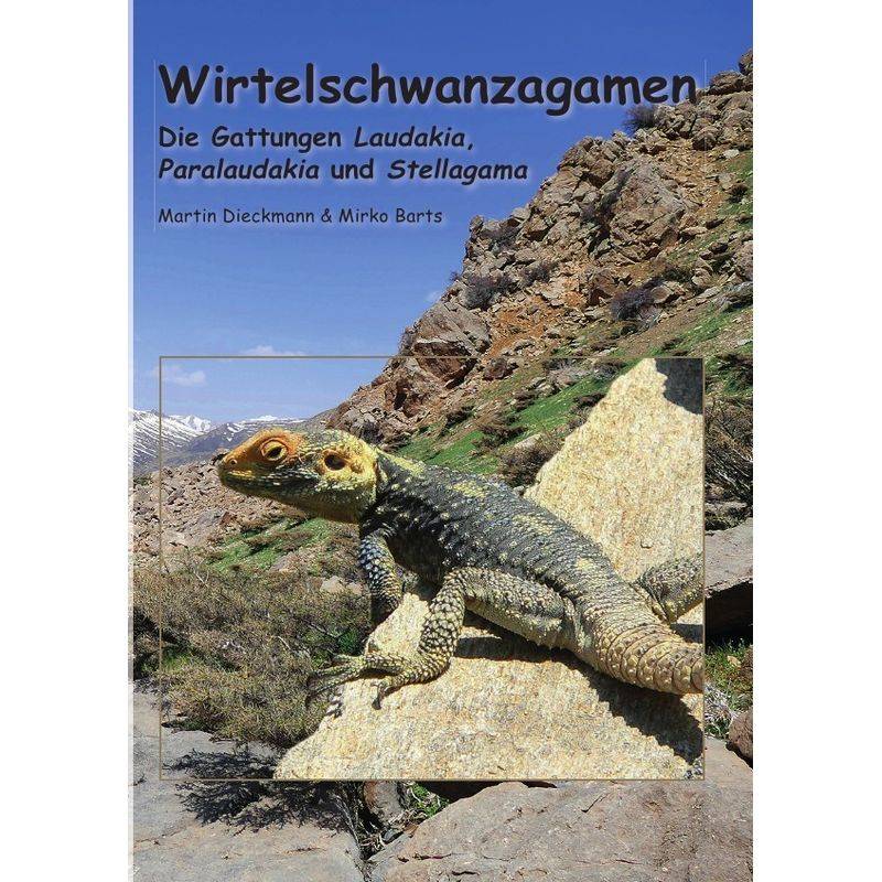 Wirtelschwanzagamen - Martin Dieckmann, Mirko Barts, Kartoniert (TB) von epubli