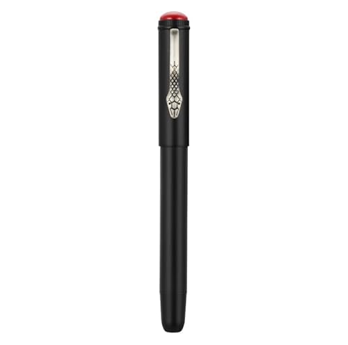 Jinhao 025 Füllfederhalter Snake Clip, feine Feder, Schreibstift mit Tintenkonverter (mattschwarz) von erofa