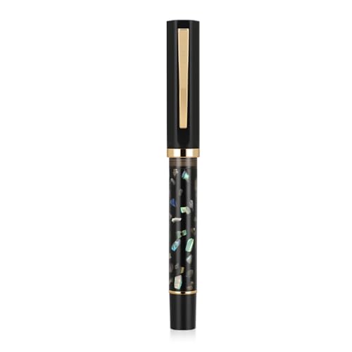 Jinhao 58 Series Füllfederhalter, Iridium-Feder mit schwarzem Scrimshaw-Design, glattes Schreiben, Stift mit Tintenkonverter (mattschwarz) von erofa