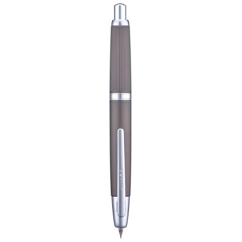 Jinhao 10 Serie Press Füllfederhalter, gebürstet mattgrau, einziehbare, feine Feder, mit Tintenkonverter und Stiftebox aus Metall (Silber-Clip-Version) von erofa