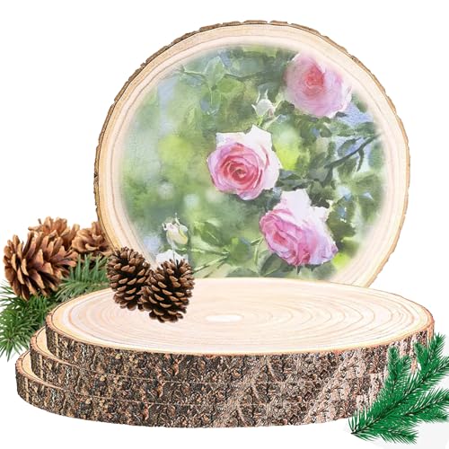 eupdd 4 Stück Holzscheiben: 16-18/18-20cm Baumscheiben, Holzscheiben 20 cm Durchmesser Dicke 15 mm, für Tischdekoration, Hochzeitsdekoration, Holzmalerei zum Basteln, Deko von eupdd