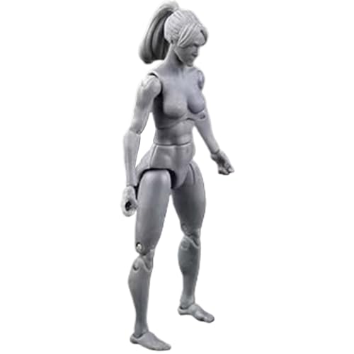 eurNhrN Aktionsfigur Körper, 4,1 -Zoll -PVC -Blind -Action -Figur, DIY -Poable -Figur, Malerei Zeichnung, graue/weibliche Spiele Vorräte von eurNhrN