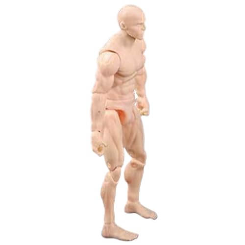 eurNhrN Aktionsfigur Körper, 4,1 Zoll PVC Blind -Aktion -Figur, DIY Poable Figur, Malerei Zeichnung, Hautfarbe/männliche Spiele Vorräte von eurNhrN