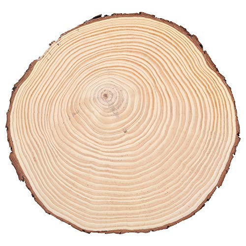 Holzscheiben – Holzscheiben, unlackierte Holzkreise, Ornamente, unregelmäßige Holzscheiben mit Rinde (22,5 x 23 cm) von evhooe